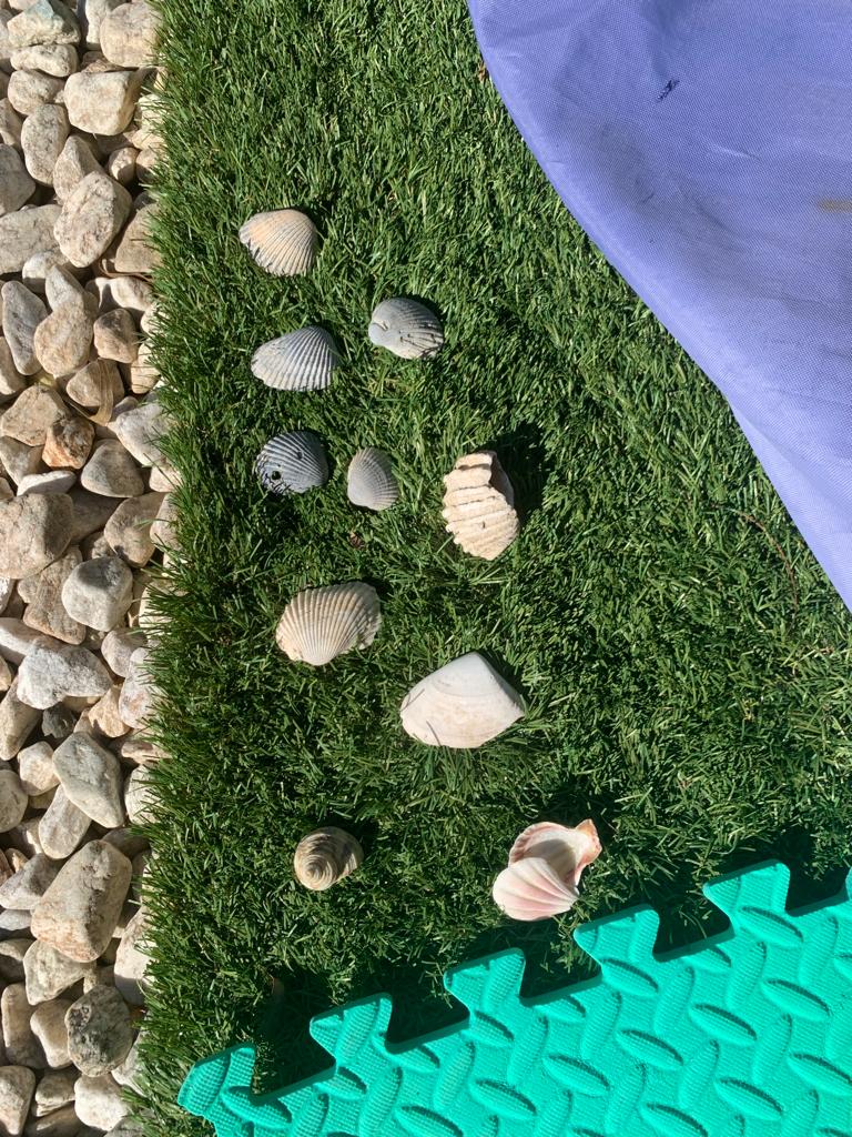 Fun With Kids Wellbeing Family Day Care Centre photo