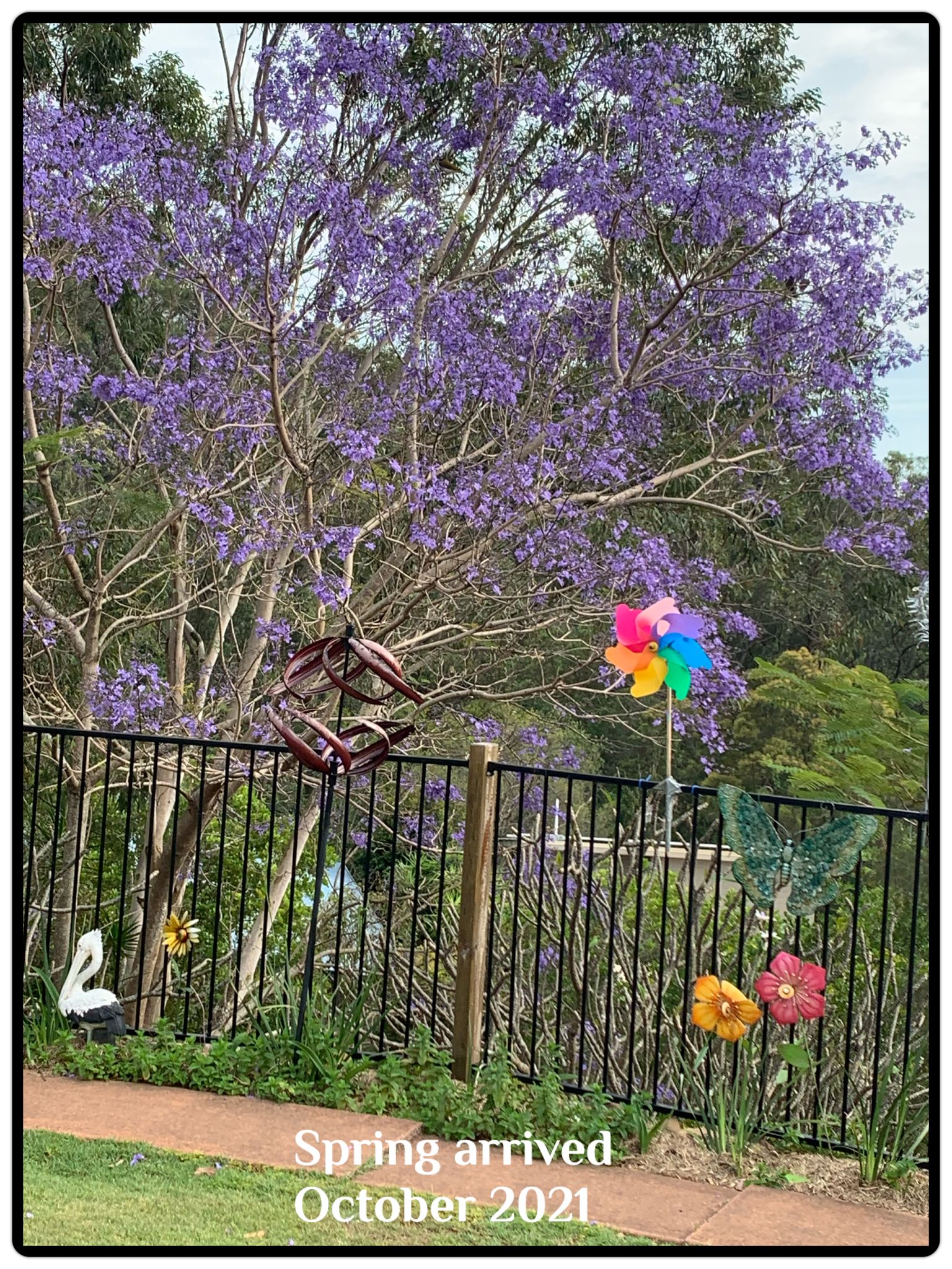 Fun With Kids Wellbeing Family Day Care Centre photo