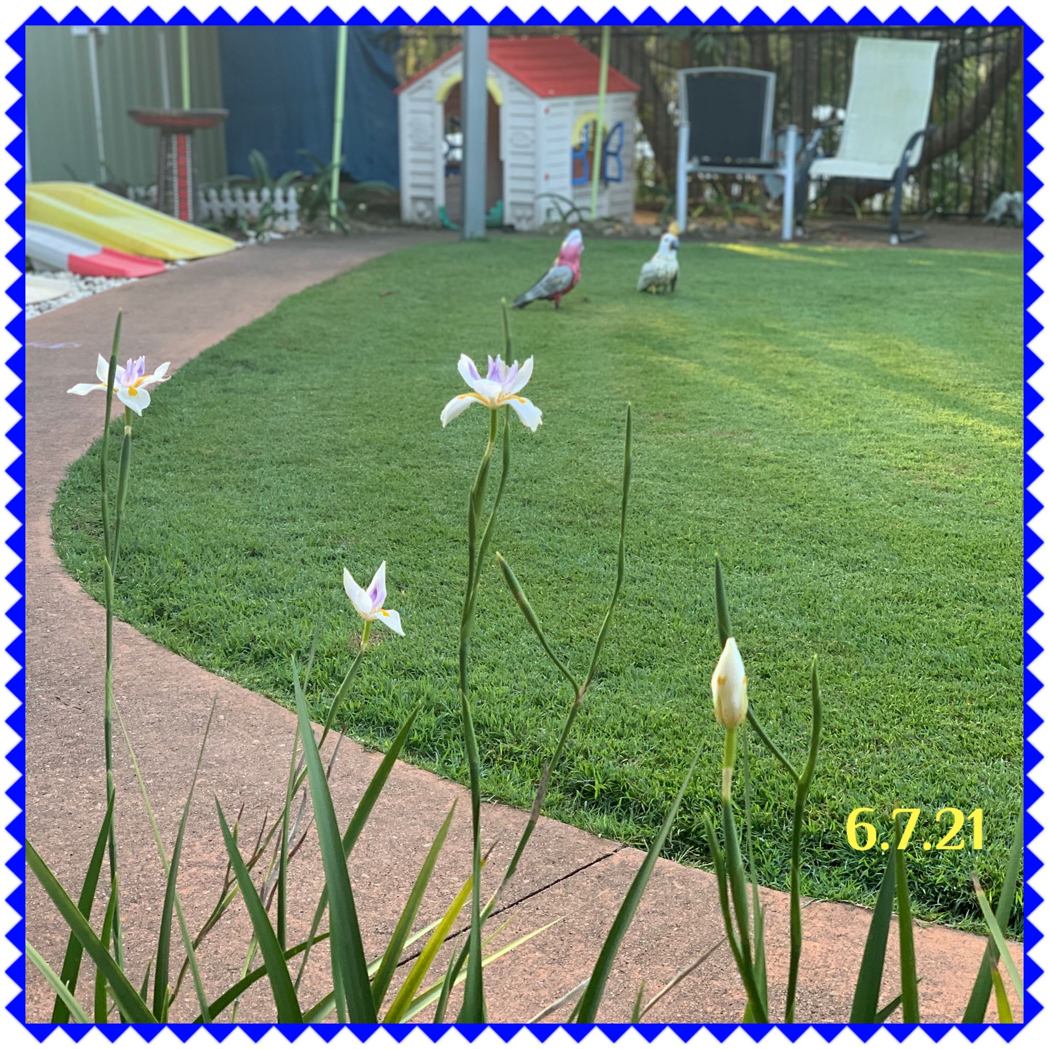 Fun With Kids Wellbeing Family Day Care Centre photo