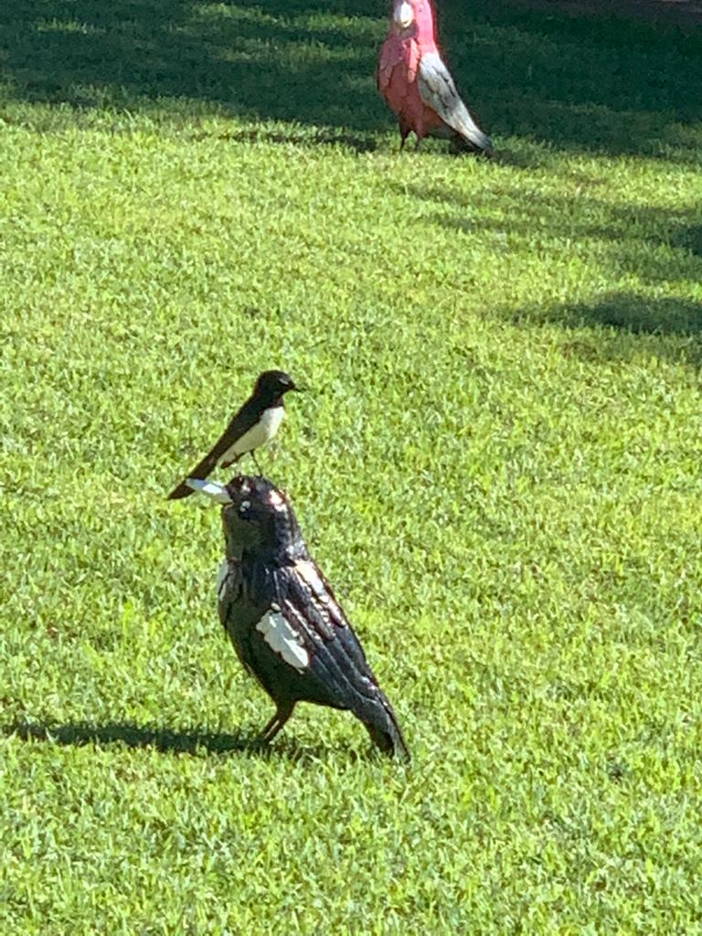 Fun With Kids Wellbeing Family Day Care Centre photo