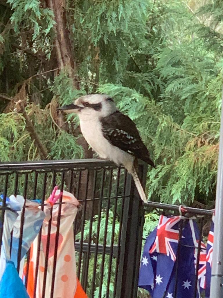 Fun With Kids Wellbeing Family Day Care Centre photo