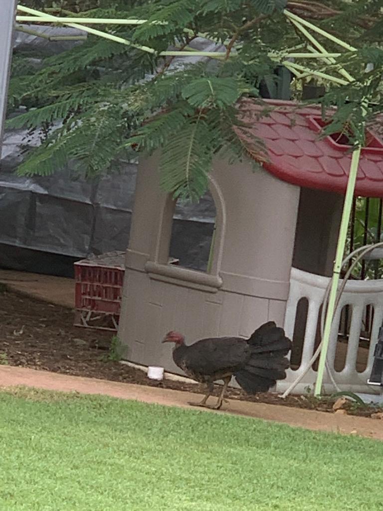 Fun With Kids Wellbeing Family Day Care Centre photo