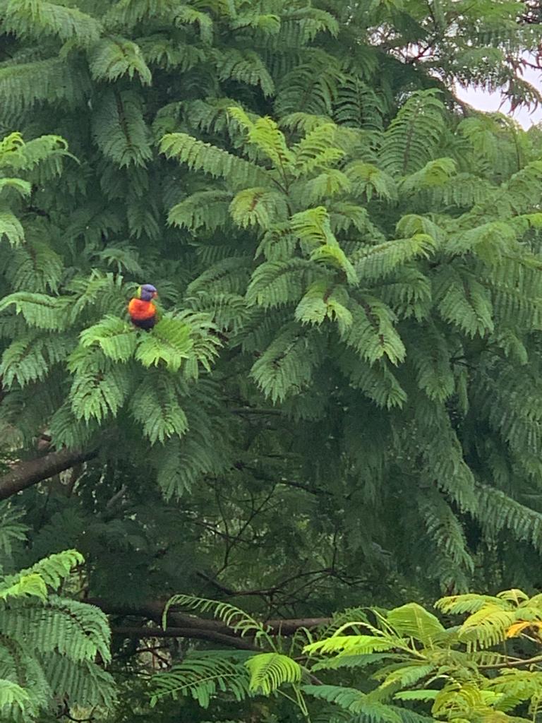 Fun With Kids Wellbeing Family Day Care Centre photo