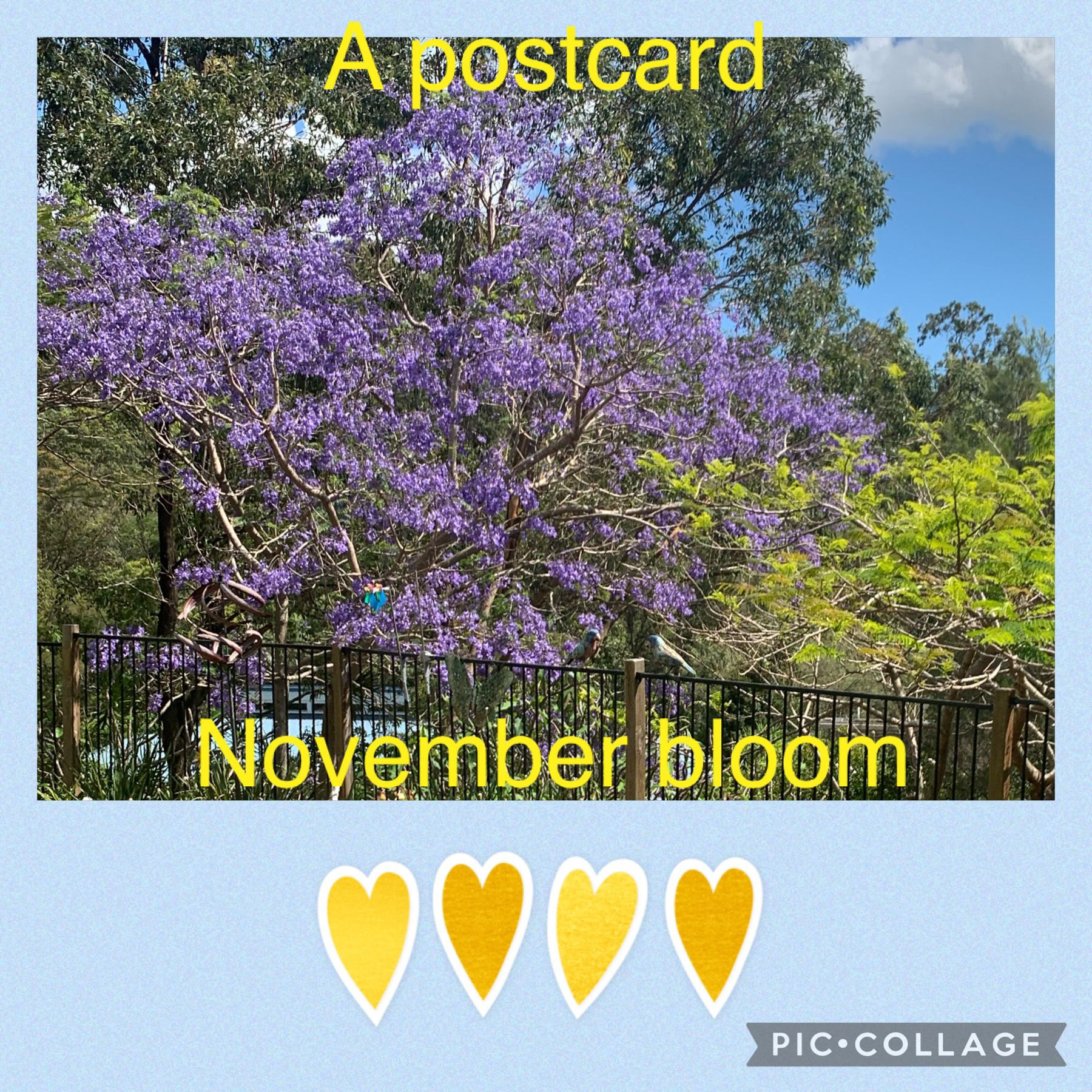 Fun With Kids Wellbeing Family Day Care Centre photo