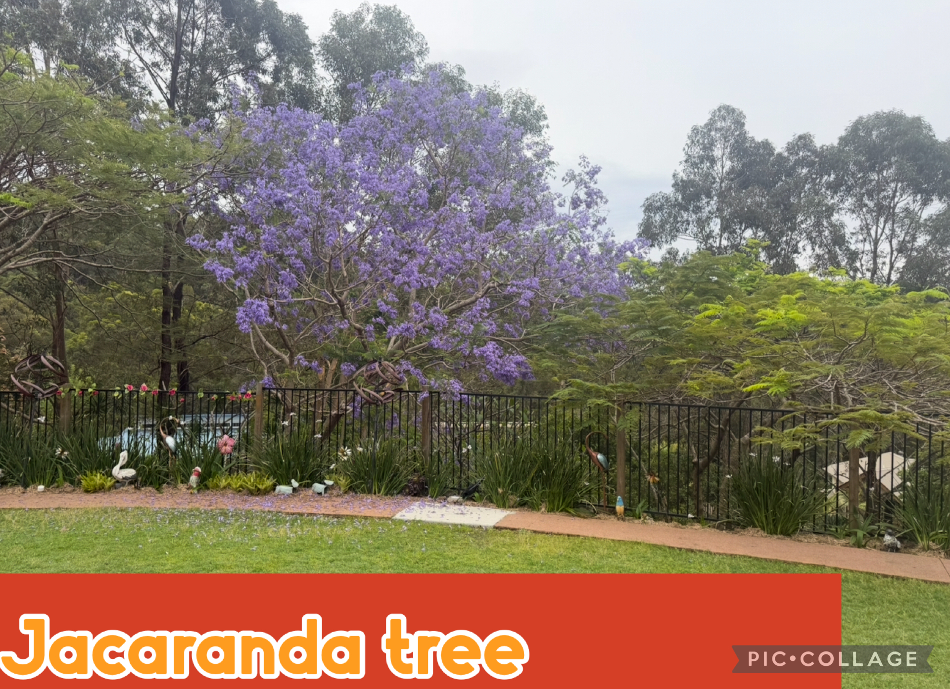 Fun With Kids Wellbeing Family Day Care Centre photo