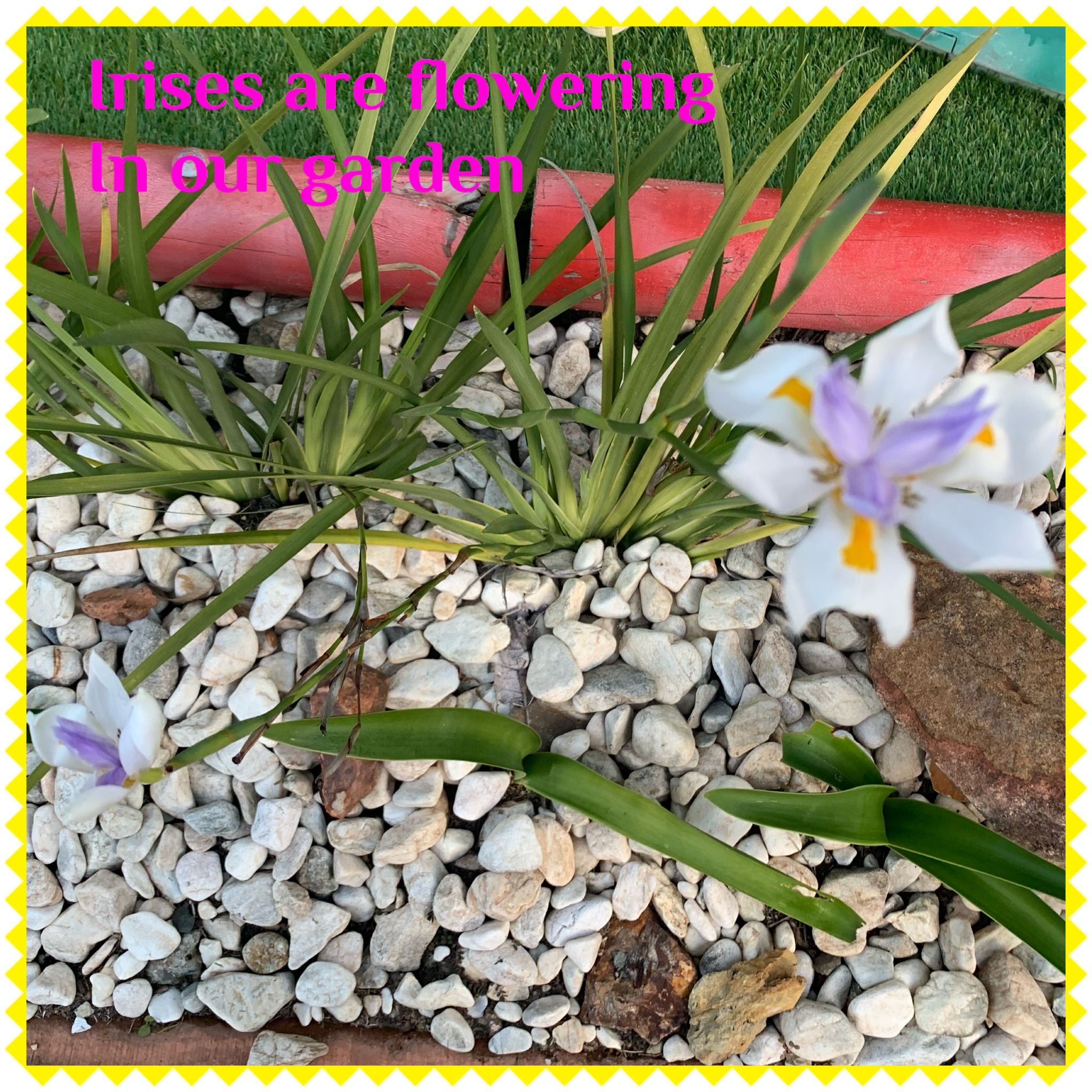 Fun With Kids Wellbeing Family Day Care Centre photo